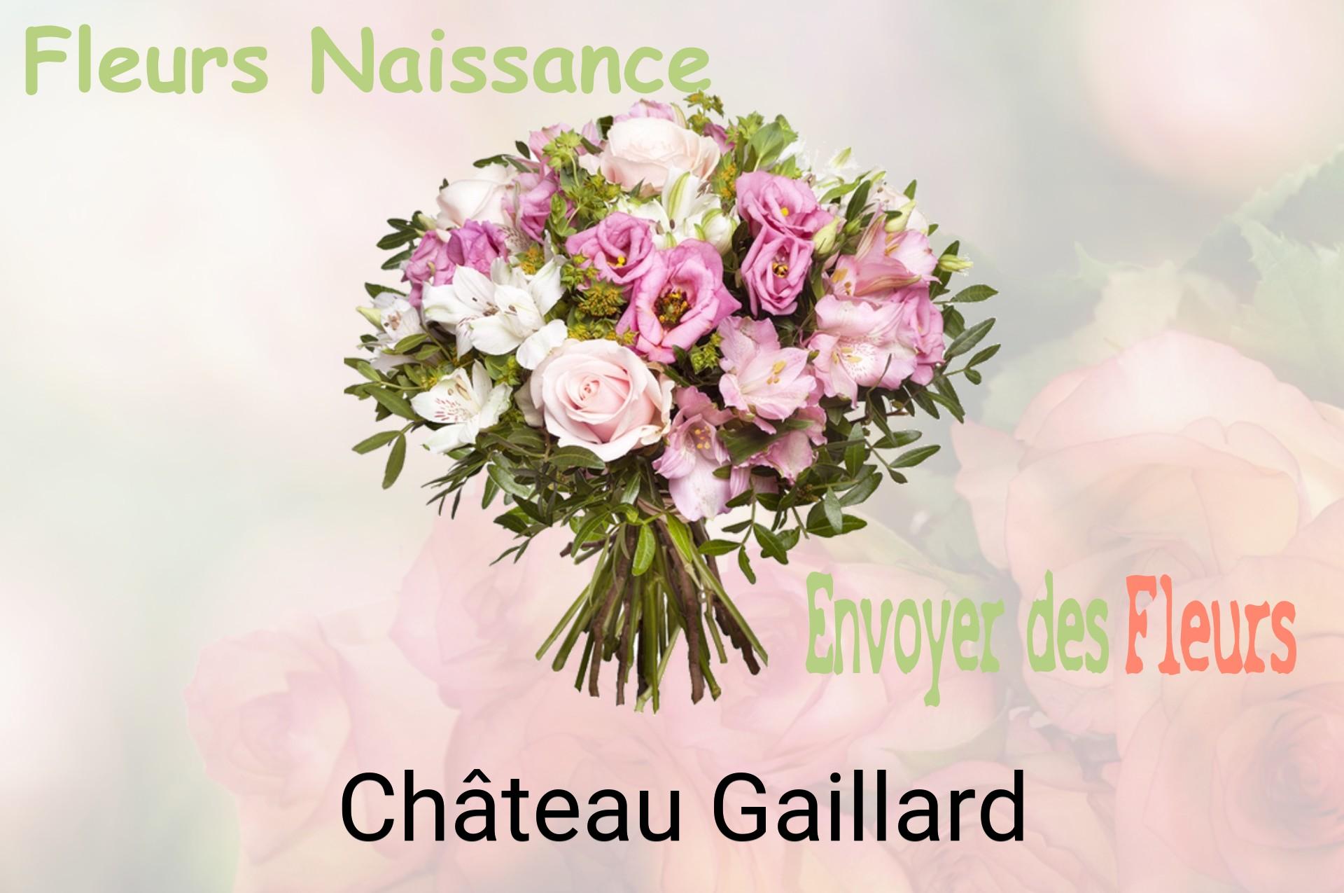 Bouquet de fleurs de naissance livré à Château-Gaillard