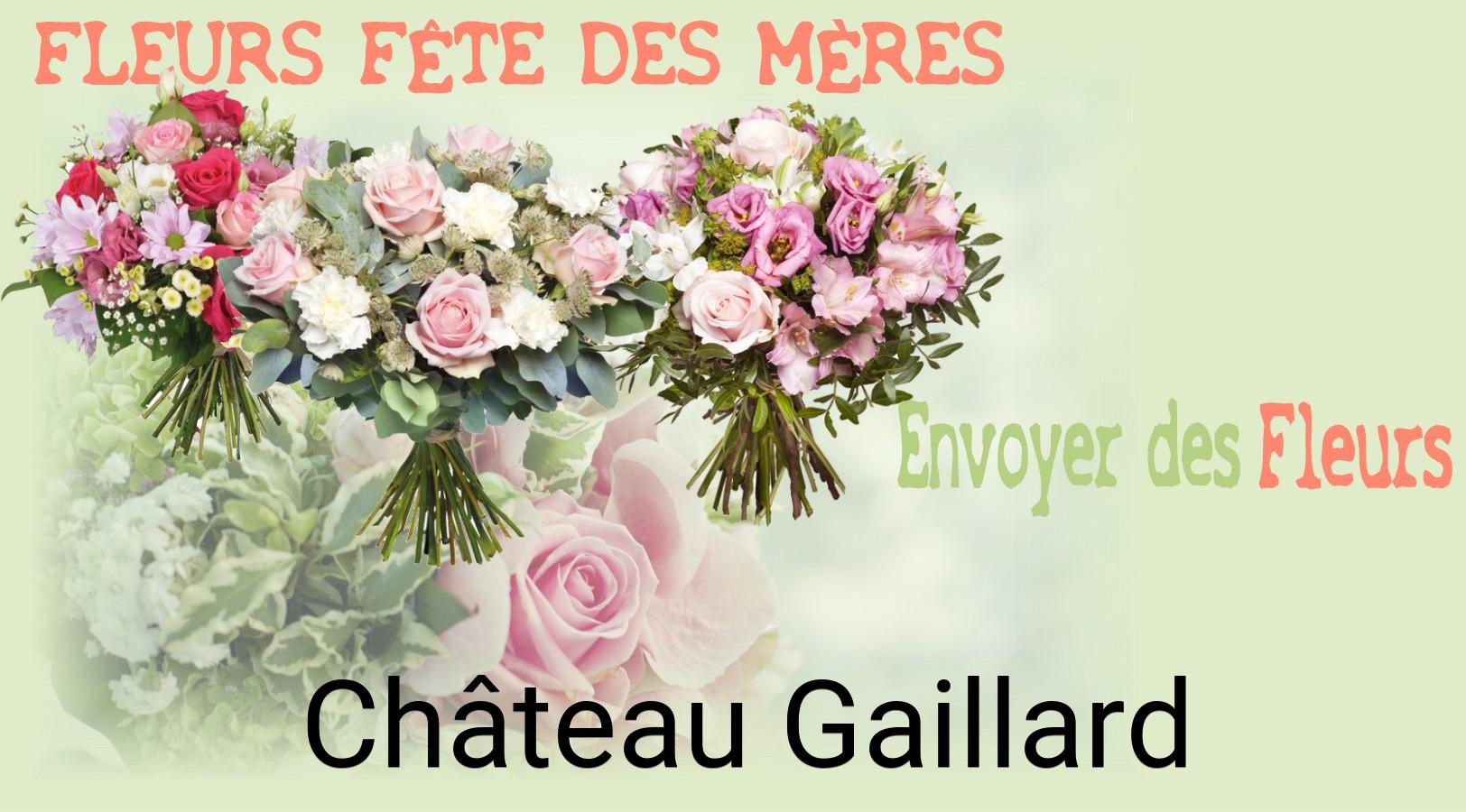 Bouquet de Fête des Mères livré à Château-Gaillard